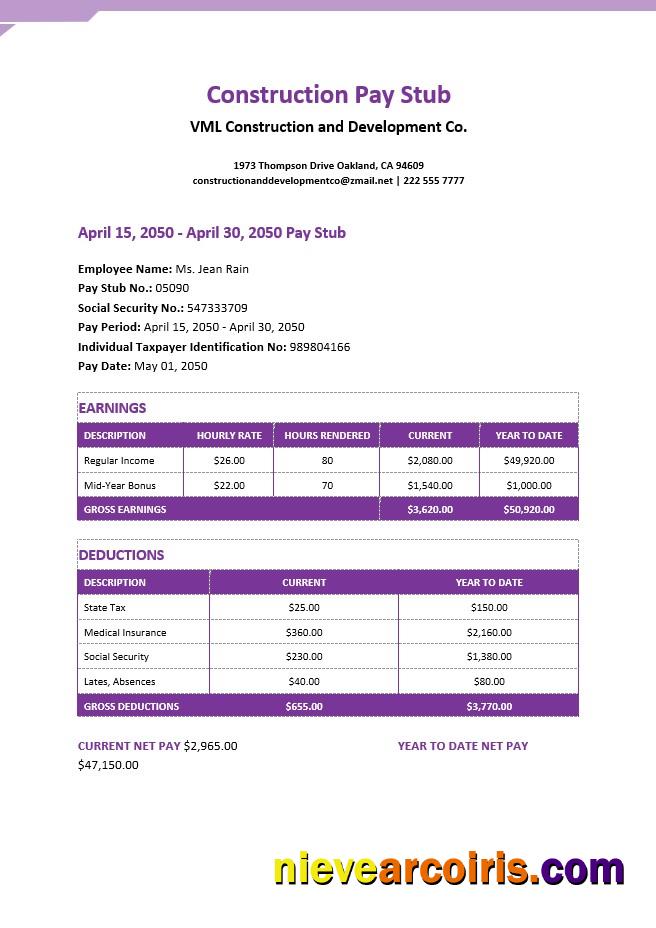 construction pay stub